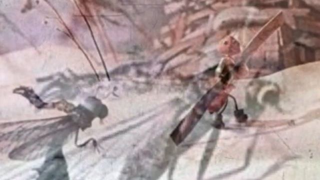 "Стрекоза и муравей" смотреть онлайн