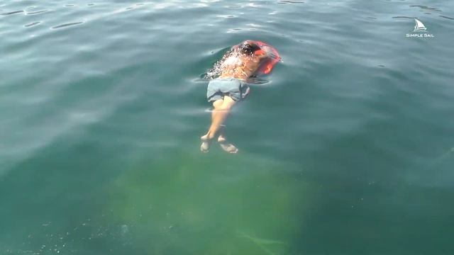 SimpleSail Seabob adventures смотреть онлайн