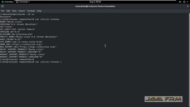 How to check OS Release Version on Rocky Linux 8 смотреть онлайн