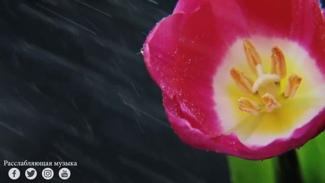 Вальс Дождя! Музыка для релаксации! Нежная музыка, успокаивает нервную систему и радует душу смотреть онлайн