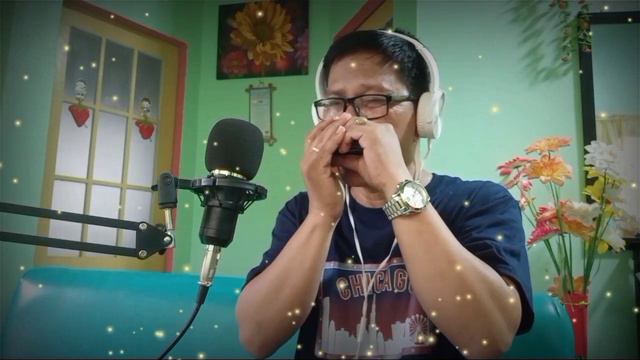 HEART OF GOLD by Neil Young (A Cover with Harmonica Riffs) смотреть онлайн