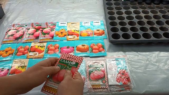 Лучшие сорта помидор в теплицу 2022 , Малиново чудо томаты смотреть онлайн