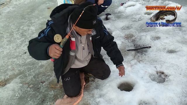 Рыбалка на Лепсы район камни 22.02.20 смотреть онлайн