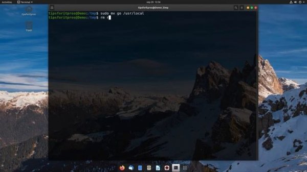 Install Golang on Ubuntu 20.04