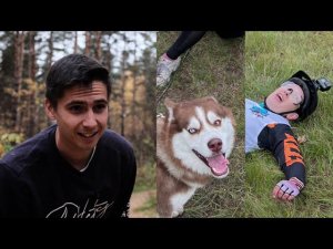 Первые соревнования в сезоне и первые результаты | На велосипеде с собакой