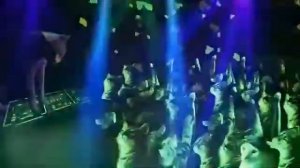 Дискотека котов (С 10 ПОДПИЩЕКАМИ!!!)