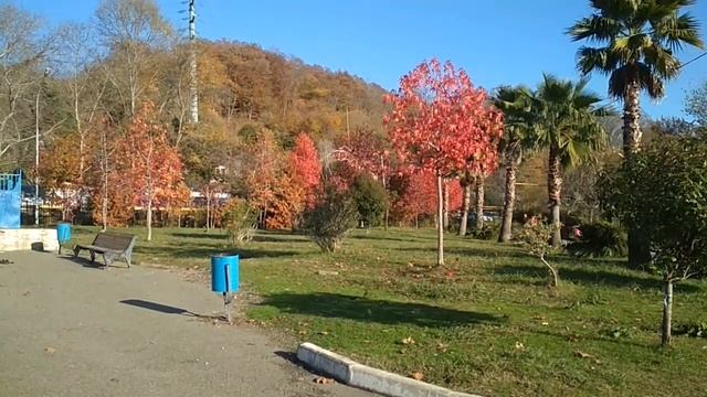 Осенние зарисовки. смотреть онлайн