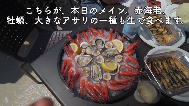 Akita Inu and a delicious seafood restaurant in Southern Italy ♪ смотреть онлайн
