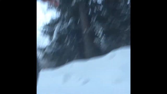 Мотособака смотреть онлайн