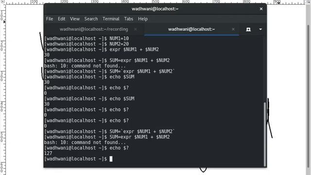 Learn Linux 35 Shell Scripting 2