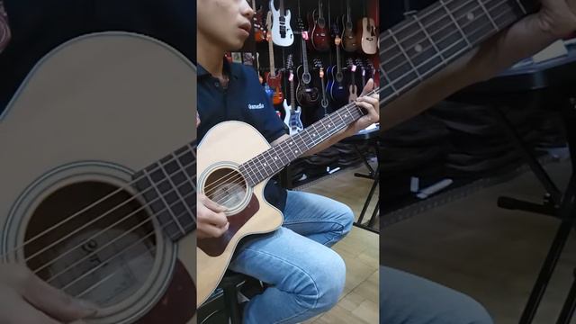 tes gitar acoustic CORT L100F смотреть онлайн