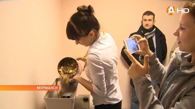 Трудно мелочью собрать миллион рублей! смотреть онлайн