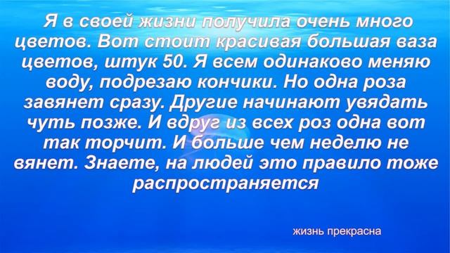 Сильные фразы о жизни Майи Плисецкой смотреть онлайн