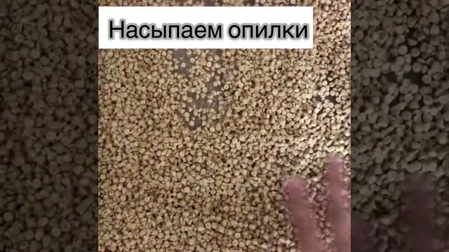 ?Как правильно убираться в клетки хомяка/ Уборка в клетки? смотреть онлайн