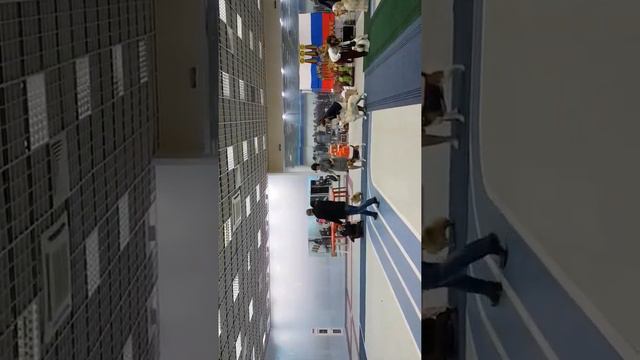 Джуля R.JBIS! 1.04 Курган