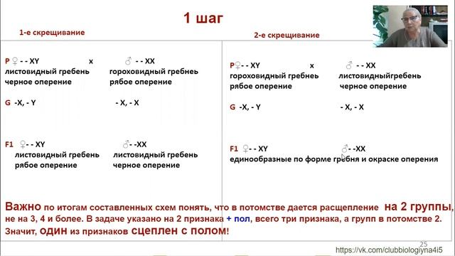 Решаем с чистого листа задачу по генетике 28 на крисс-кросс наследование смотреть онлайн