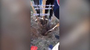 ПРИКОЛЫ ДЛЯ ВЗРОСЛЫХ,ЛУЧШИЕ ПРИКОЛЫ,СБОРКА РЖАЛ ДО СЛЁЗ ЧЁРНЫЙ ЮМОР №74