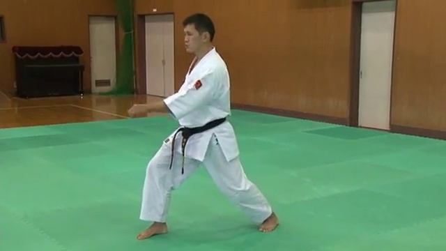 Tai Kyoku 1,2,3 太極その (Тайкёку соно ити, ни, сан) смотреть онлайн