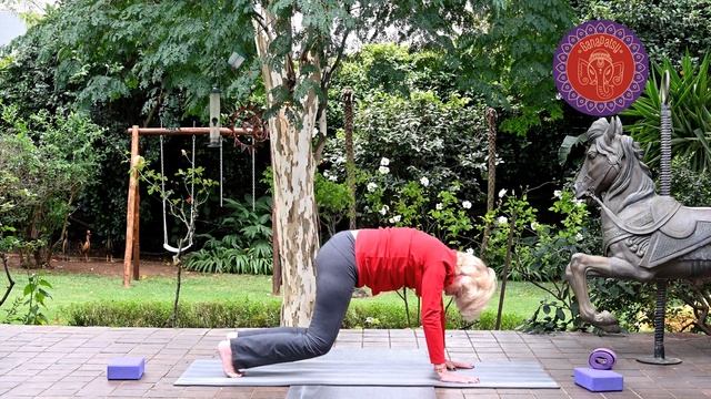 Yoga with GanaPatsy: Strength Class смотреть онлайн