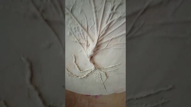 Мои барельефы и растюшки. #барельеф #хойка #орхидеи смотреть онлайн