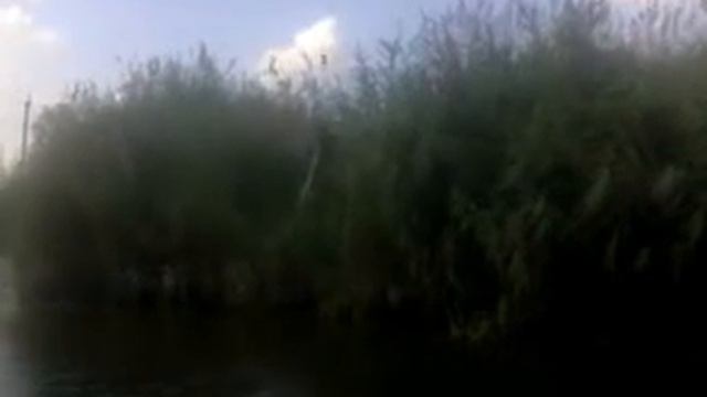 Случай на рыбалке смотреть онлайн