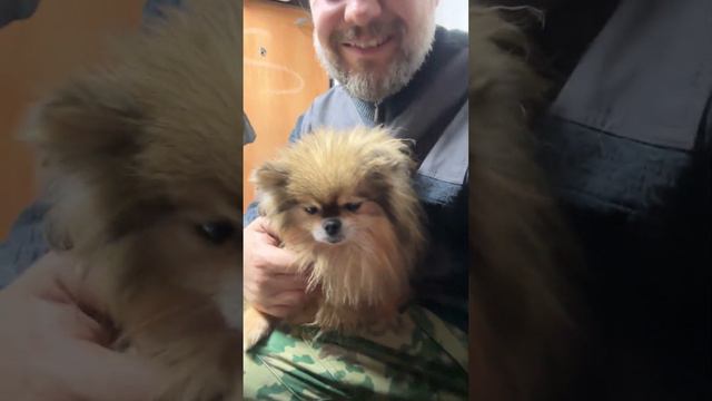Бася 🐕 смотреть онлайн