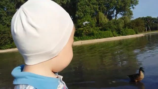 Озеро в Ессентуках! смотреть онлайн