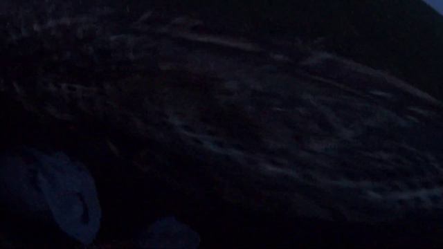 охота на гуся осенью Волгоградская область. смотреть онлайн