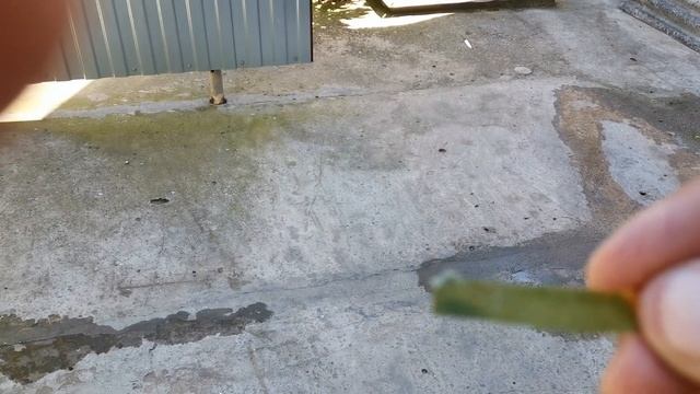 Как я делаю воду для купания голубей.How I make water for swimming pigeons. смотреть онлайн