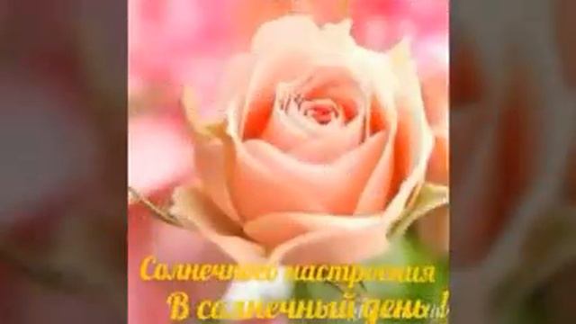 Доброго воскресного утра 10313 (0.30)