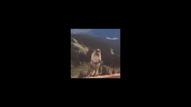 я когда меня всё задолбало смотреть онлайн