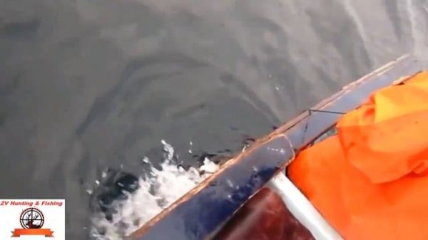 catching a huge squid. ловля огромных кальмаров.