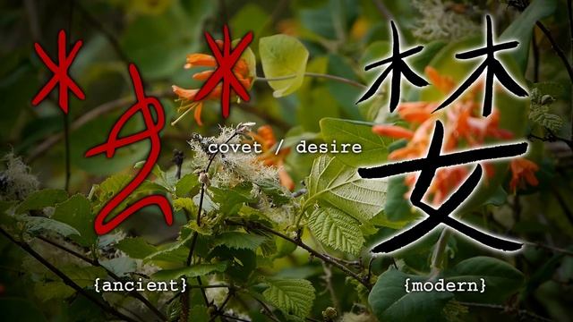 oracle bone script - part 3 смотреть онлайн