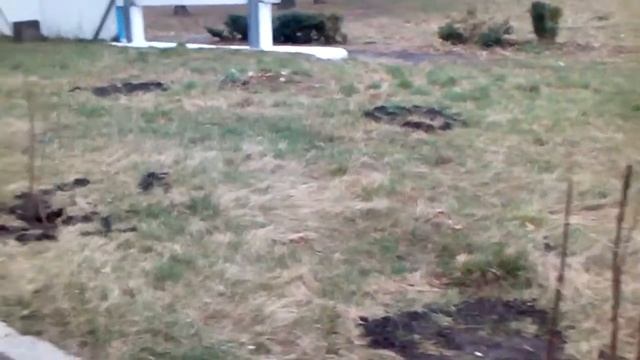 Влог Пицца от Влада Суп из крапивы смотреть онлайн