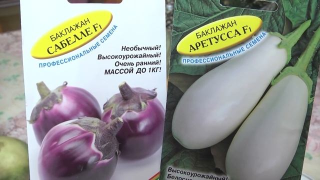Дачные советы Галины Старосельцевой Январь 13-2022 смотреть онлайн