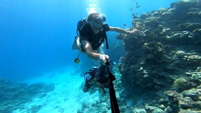Дайвинг в заповеднике Рас-Мухаммед Шарм-Эль-Шейх Египет [ Diving in the reserve Ras Mohammed ] смотреть онлайн