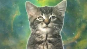 «Кошачий джаз_«смешная шуточная песенка для детей