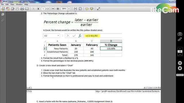 CI2000 Week 3 Excel Assignment смотреть онлайн
