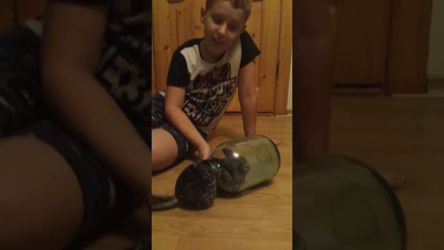 Купання Томіка)! смотреть онлайн