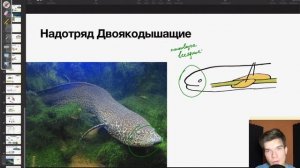 Кистеперые и Двоякодышащие рыбы | Биология ЕГЭ