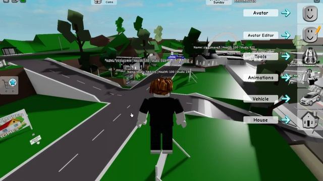 Brookhaven ?RP Admin Script!PasteBin