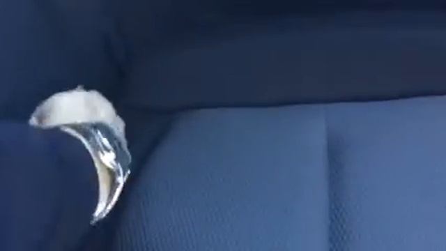 Mazda Premacy смотреть онлайн