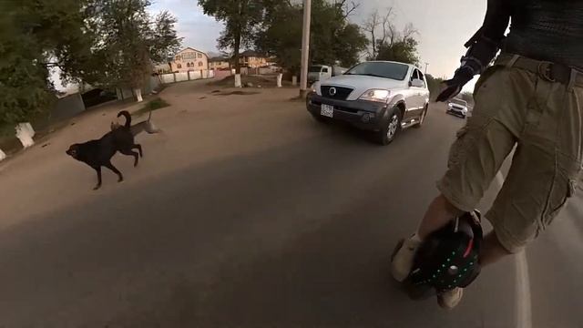 Собака - друг человека! Но не моноколесника)) смотреть онлайн