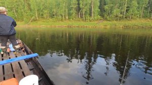 Ловим хариуса на бомбарду, на вечерней зорьке!