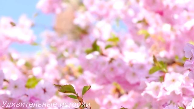 Игорь застыл на месте, когда увидел на пороге своего дома незнакомку с дочкой. И когда они вошли...