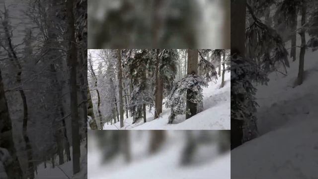Роза Хутор, фрирайд смотреть онлайн