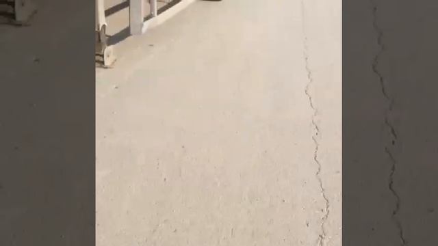 Татарск) смотреть онлайн
