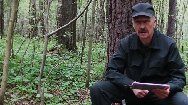 Фотоловушка.  Как установить фотоловушку.  Что надо знать про фотоловушки.