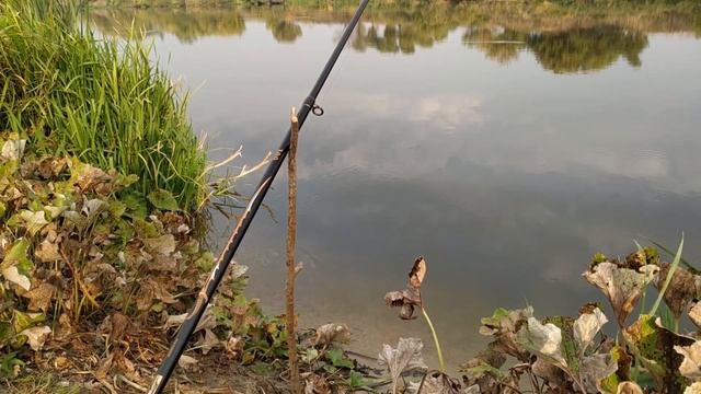 РЫБАЛКА НА РЕКЕ ДОН, осенний клёв, Кривоборье (Воронеж-Рамонь 2019) смотреть онлайн