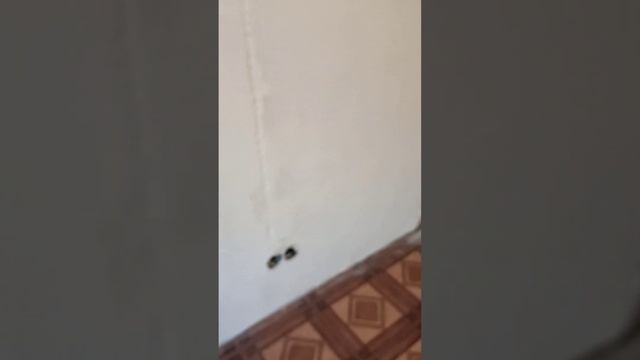 Квартира в Ленинградской области, Всеволожский р-н, гп имени Морозова, ул Пионерская. смотреть онлайн